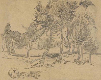 A Group of Pine Trees by Vincent van Gogh